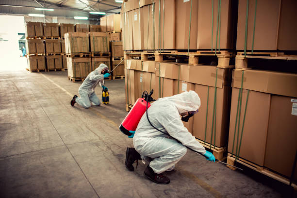 Best Termite Control Services  in Brooks, KY