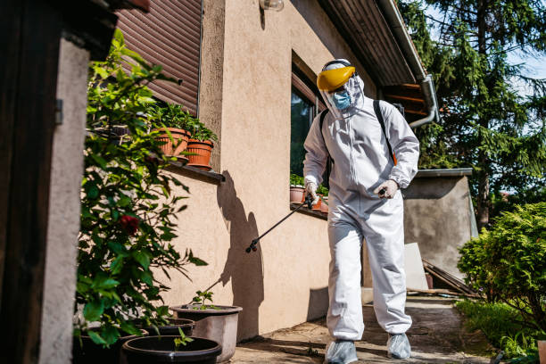 Best Flea Control Services  in Brooks, KY