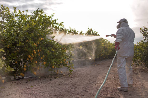 Best Cockroach Control Services  in Brooks, KY