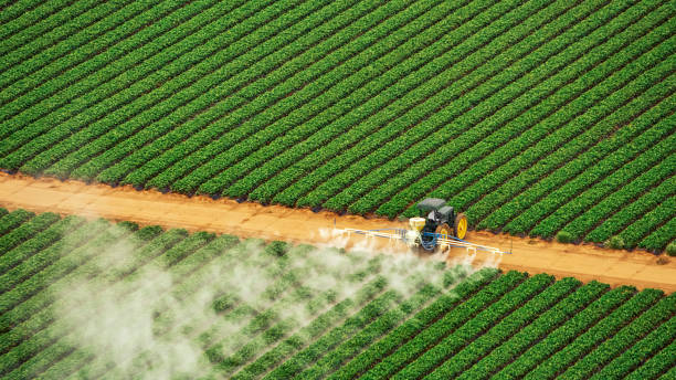 Best Best Pest Control Companies  in Brooks, KY